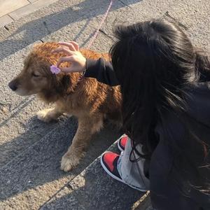 刘涛黄色惊艳视频
