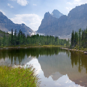 刘涛黄色惊艳视频
