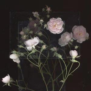 刘涛黄色惊艳视频
