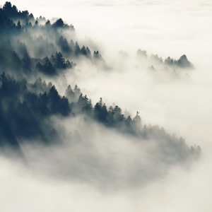 刘涛黄色惊艳视频
